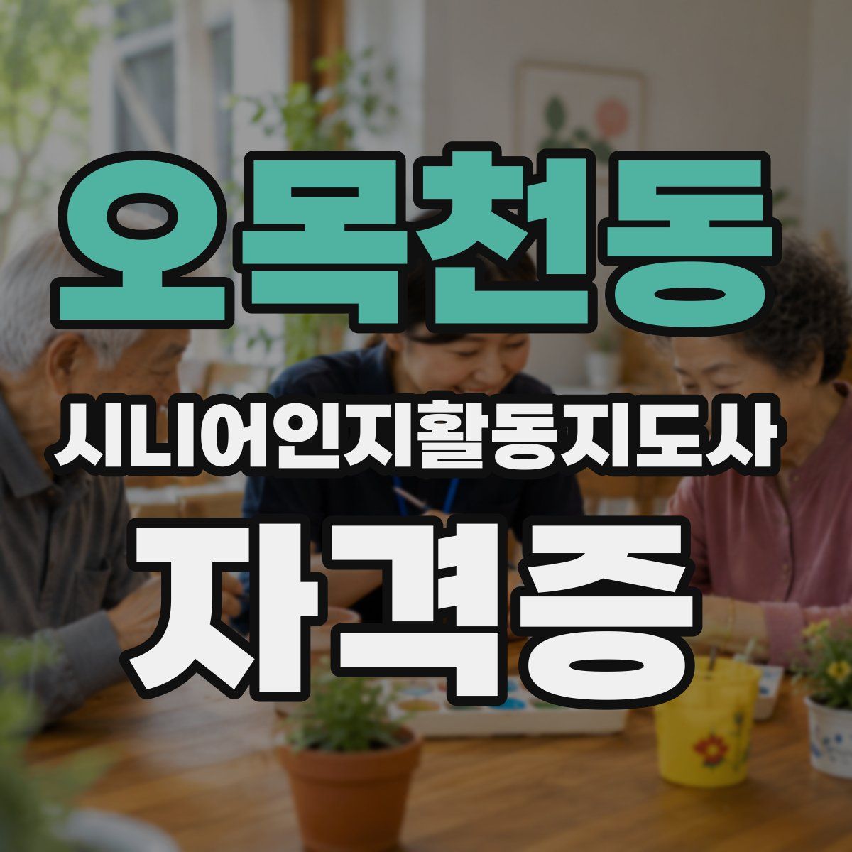 오목천동 시니어인지활동지도사 자격증