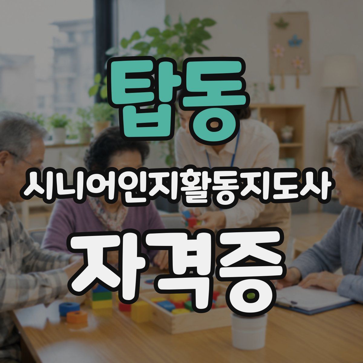탑동 시니어인지활동지도사 자격증