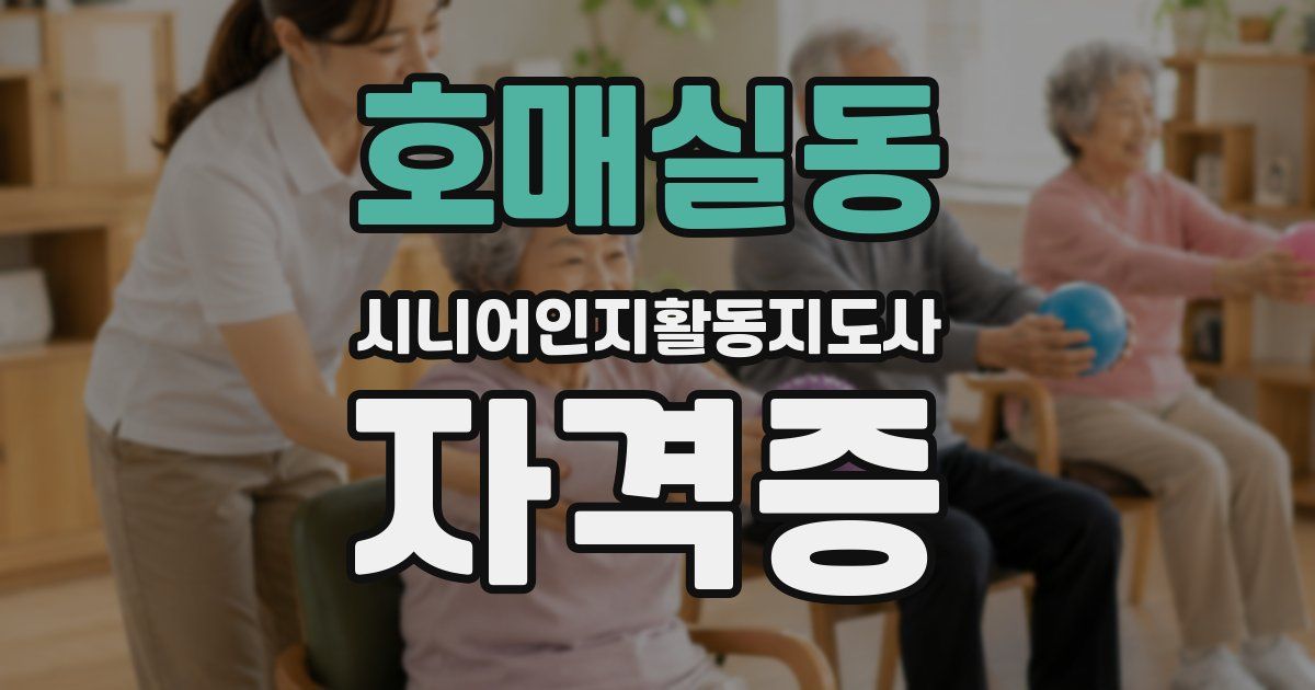 호매실동 시니어인지활동지도사 자격증