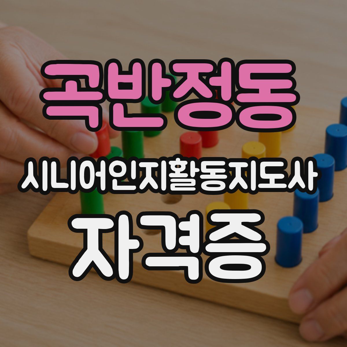 곡반정동 시니어인지활동지도사 자격증