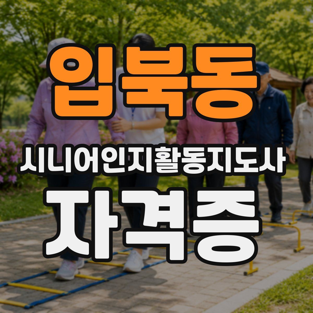 입북동 시니어인지활동지도사 자격증