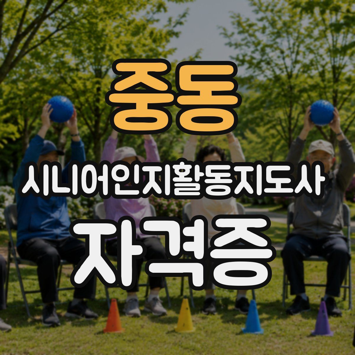 중동 시니어인지활동지도사 자격증