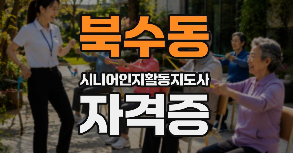 북수동 시니어인지활동지도사 자격증