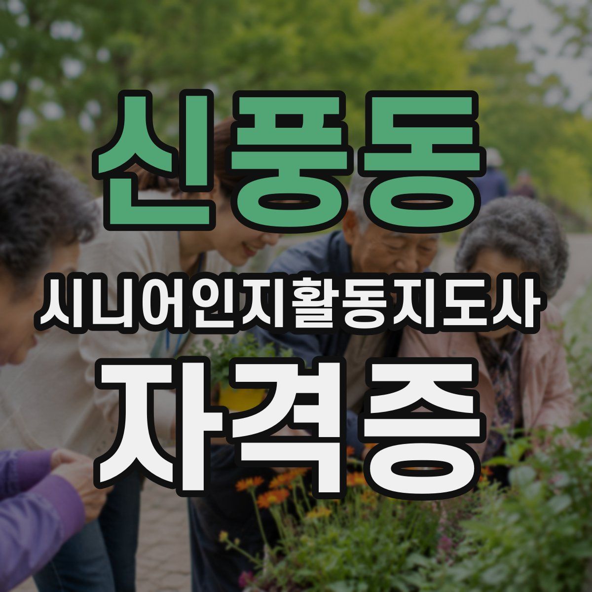 신풍동 시니어인지활동지도사 자격증