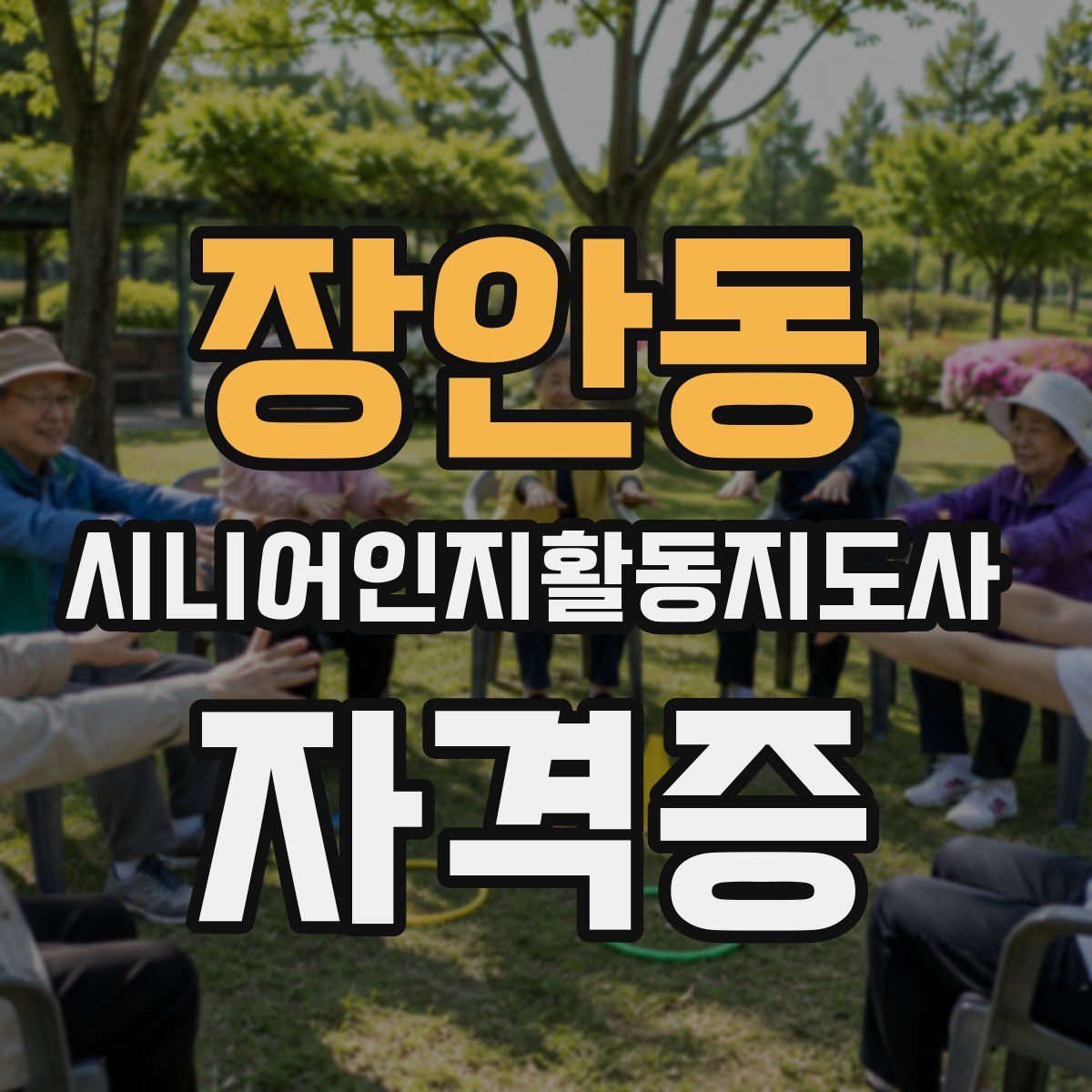 장안동 시니어인지활동지도사 자격증