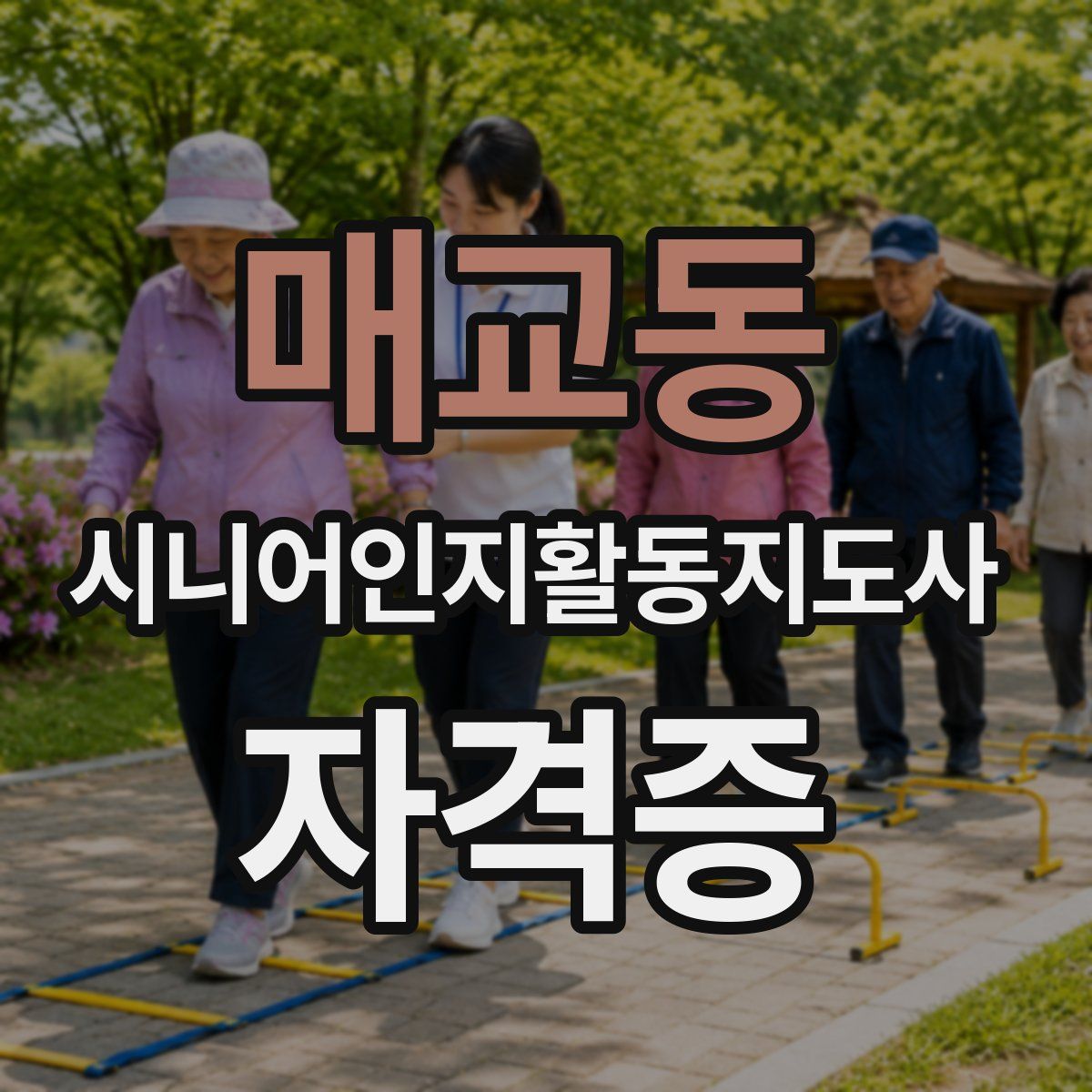 매교동 시니어인지활동지도사 자격증
