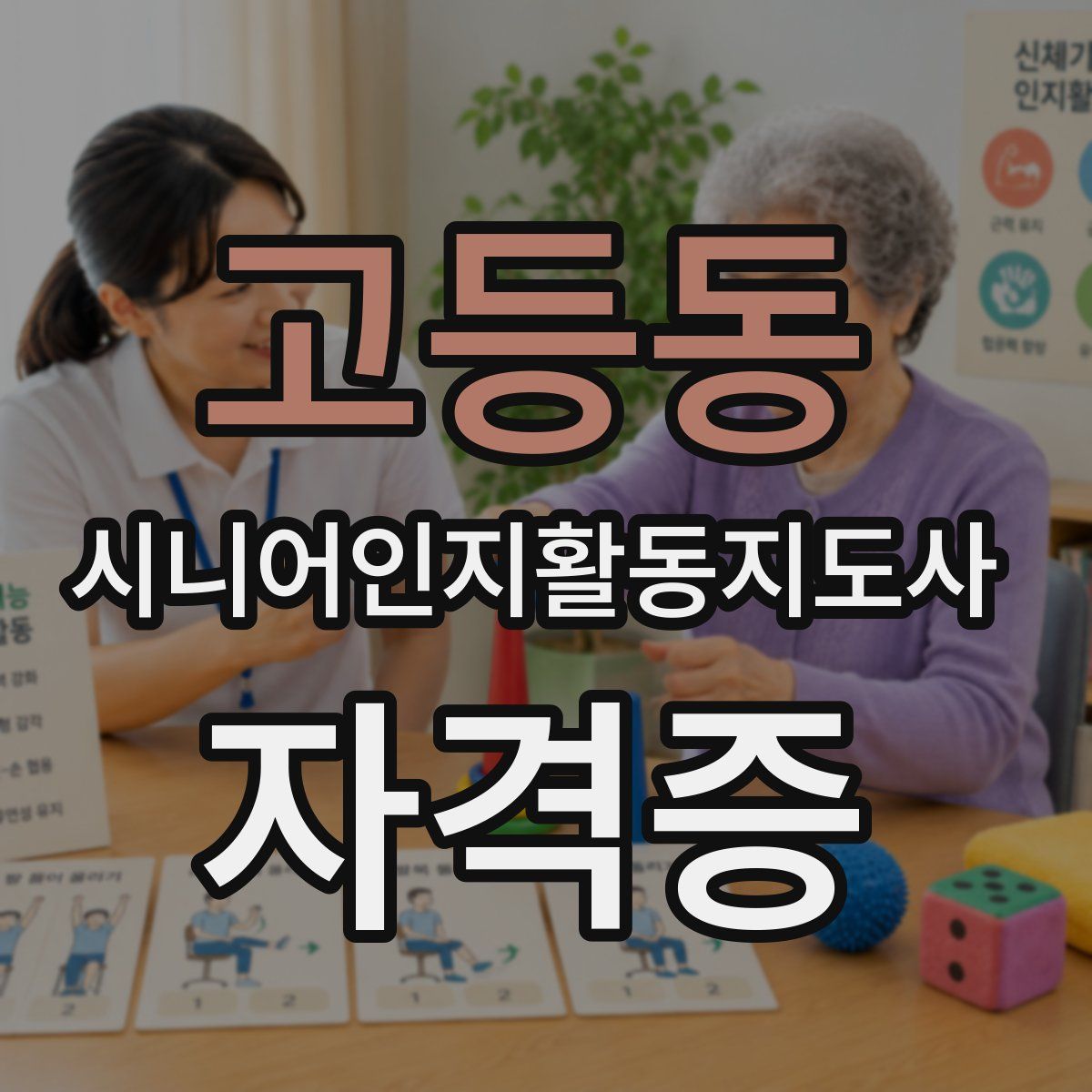 고등동 시니어인지활동지도사 자격증