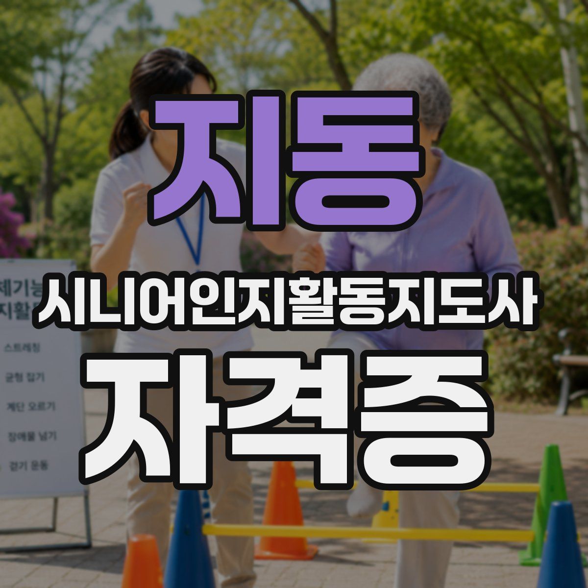 지동 시니어인지활동지도사 자격증