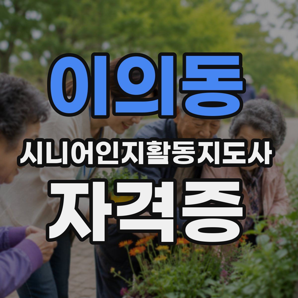 이의동 시니어인지활동지도사 자격증