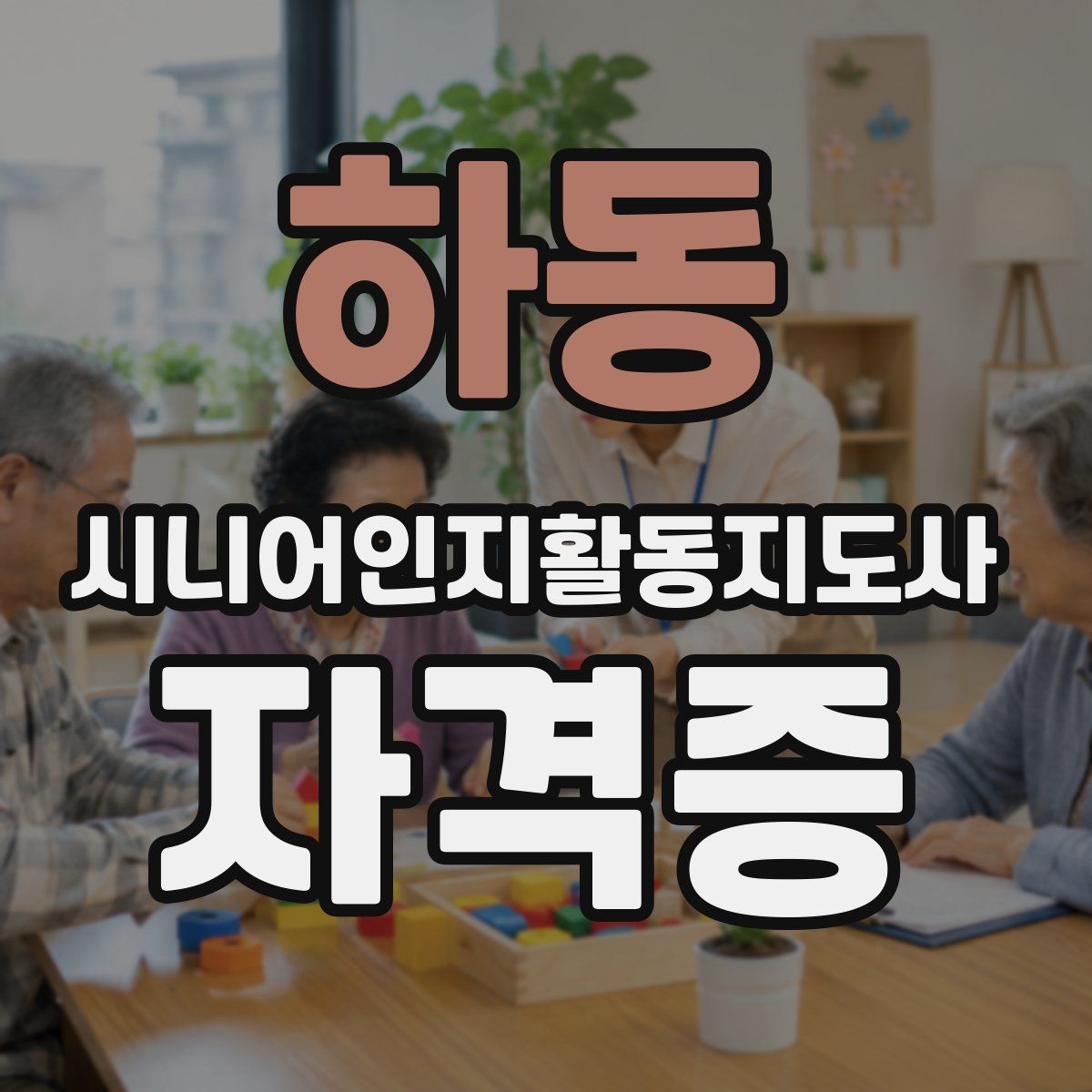 하동 시니어인지활동지도사 자격증