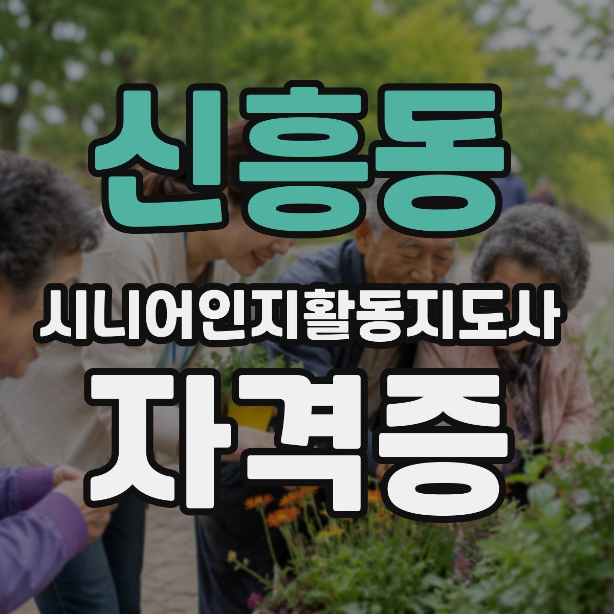 신흥동 시니어인지활동지도사 자격증