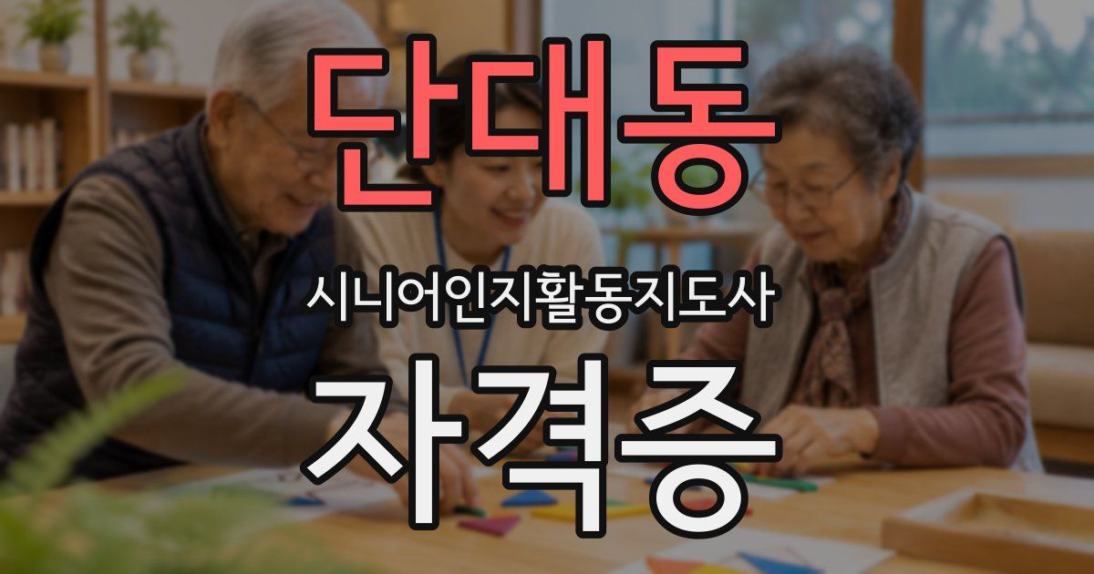 단대동 시니어인지활동지도사 자격증
