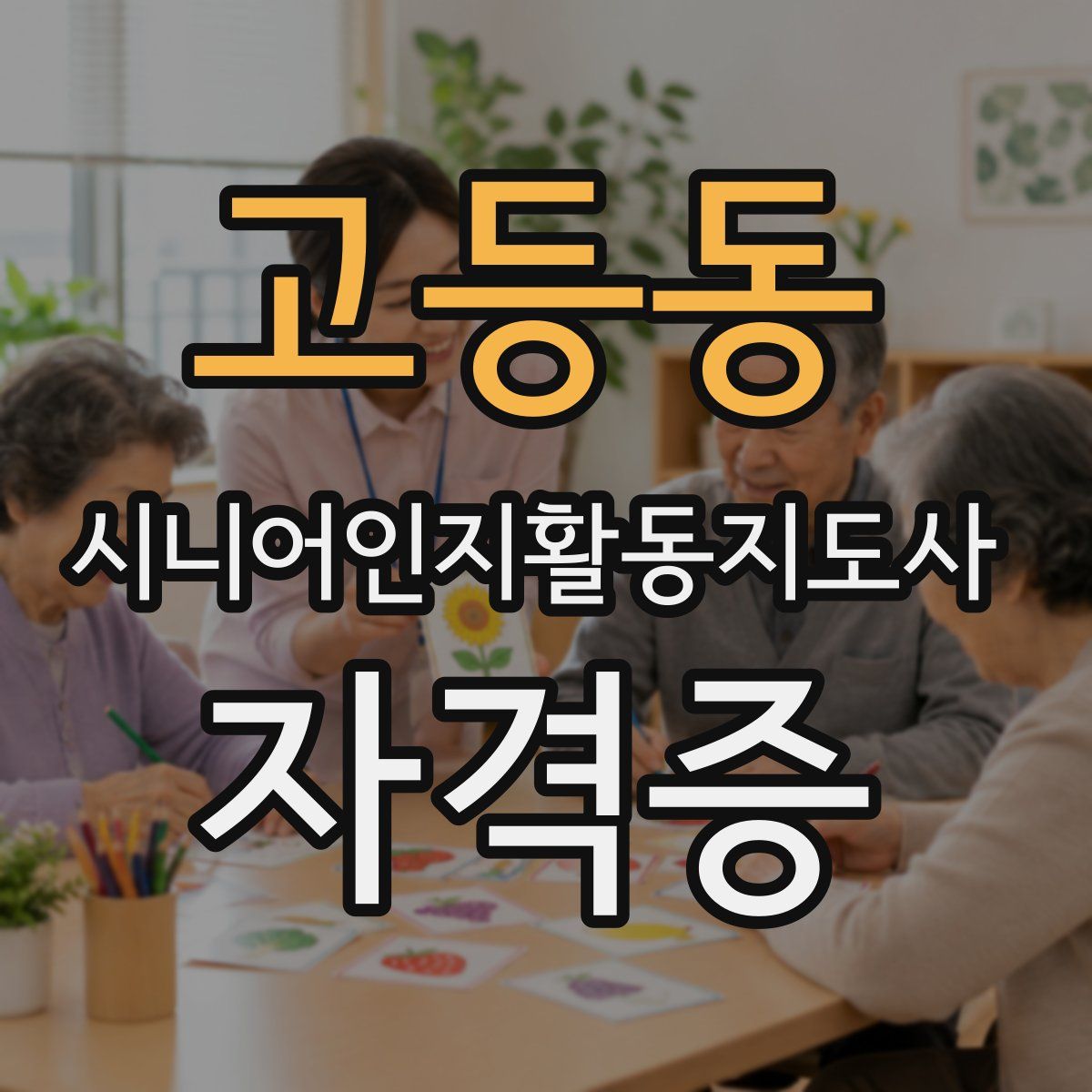 고등동 시니어인지활동지도사 자격증