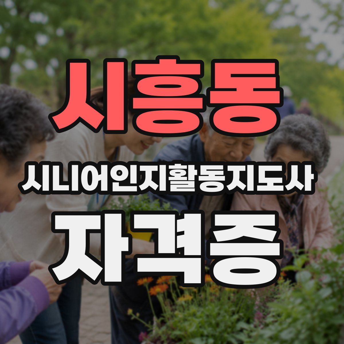 시흥동 시니어인지활동지도사 자격증