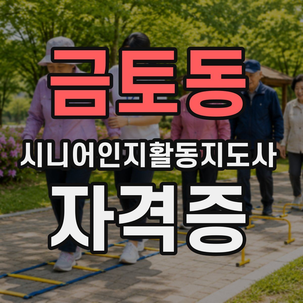 금토동 시니어인지활동지도사 자격증