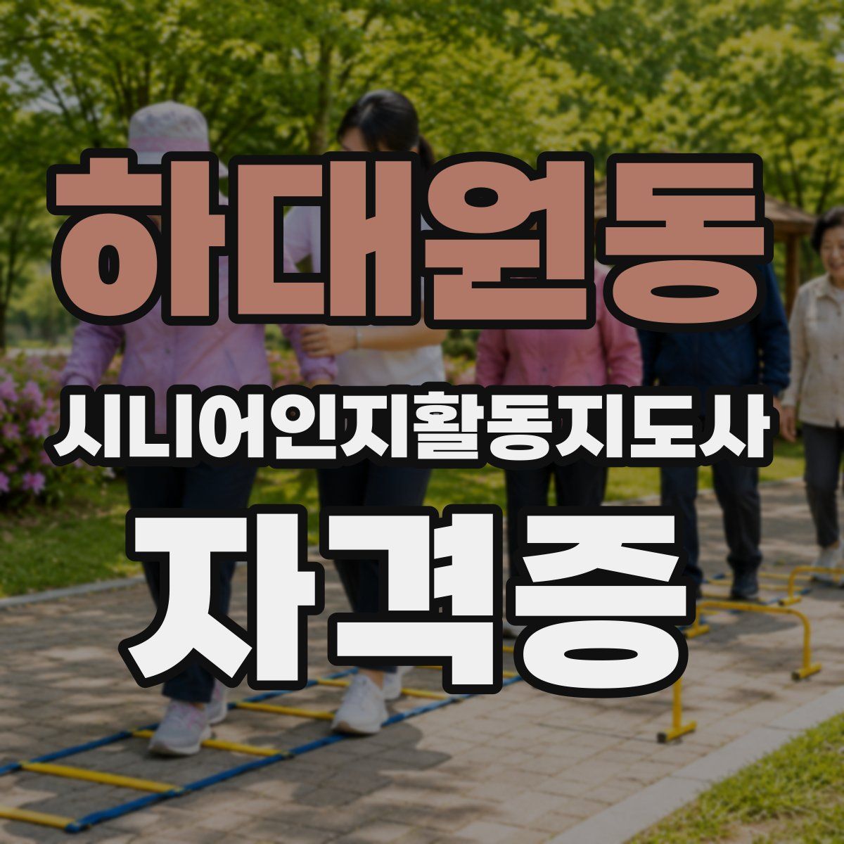 하대원동 시니어인지활동지도사 자격증