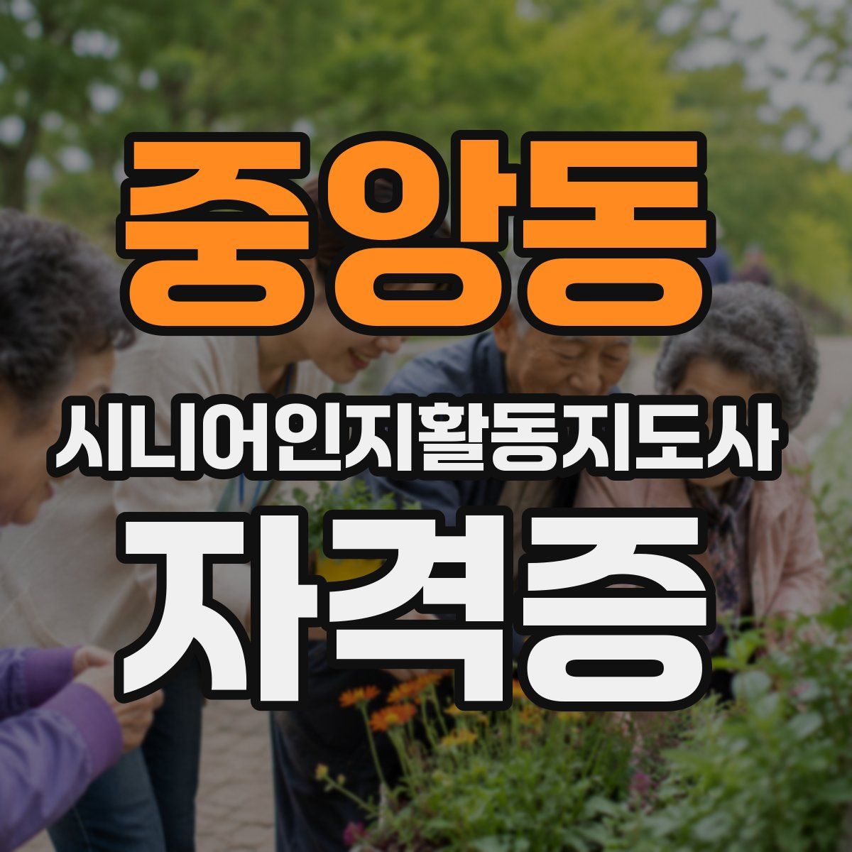 중앙동 시니어인지활동지도사 자격증