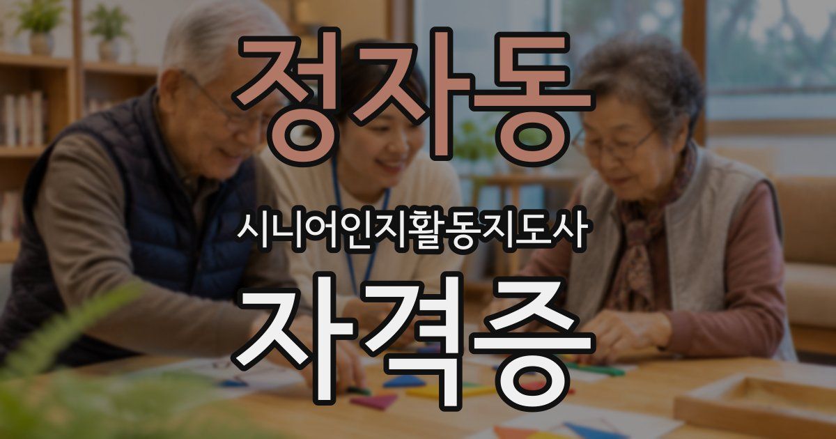 정자동 시니어인지활동지도사 자격증