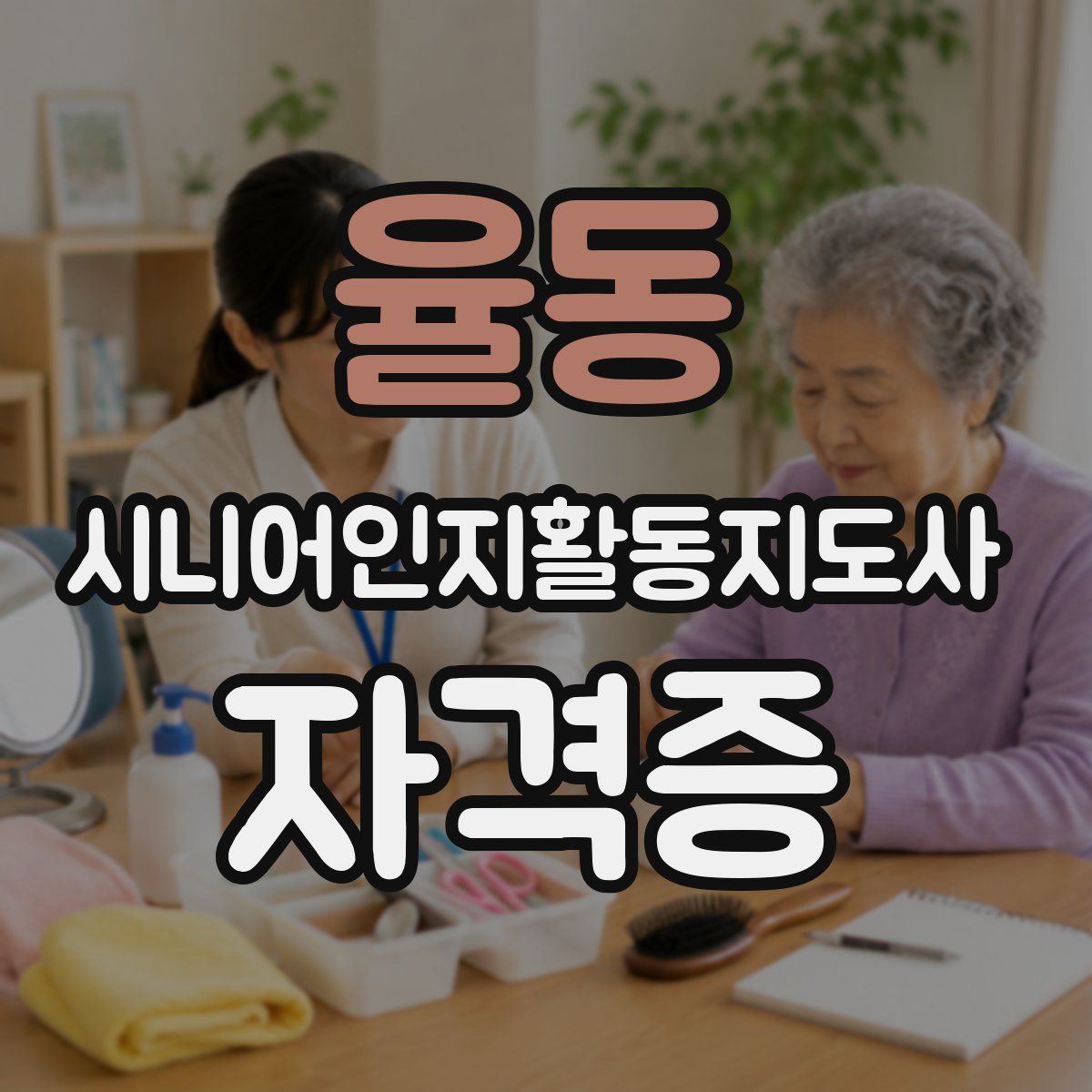 율동 시니어인지활동지도사 자격증