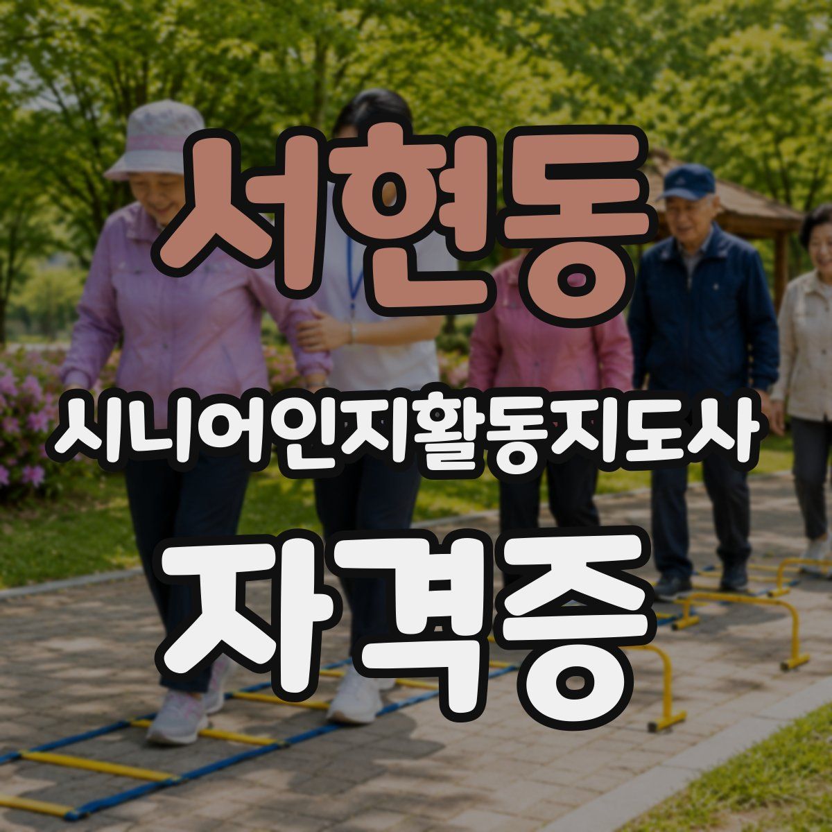 서현동 시니어인지활동지도사 자격증