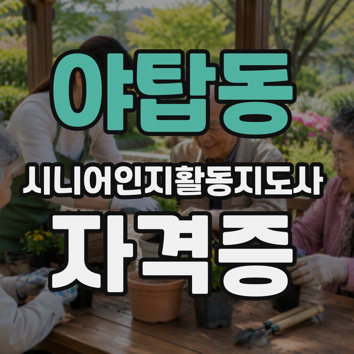 야탑동 시니어인지활동지도사 자격증