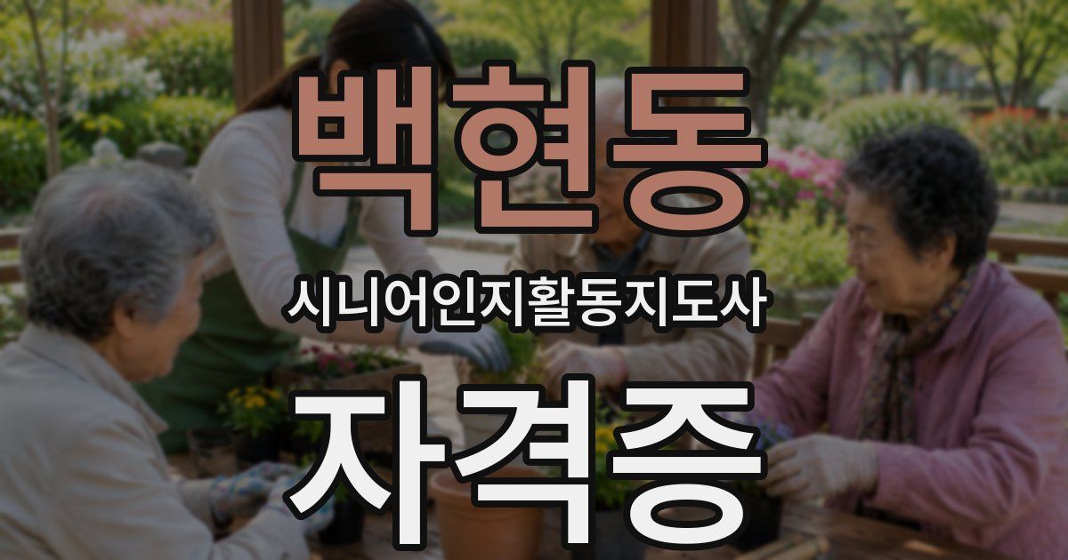 백현동 시니어인지활동지도사 자격증