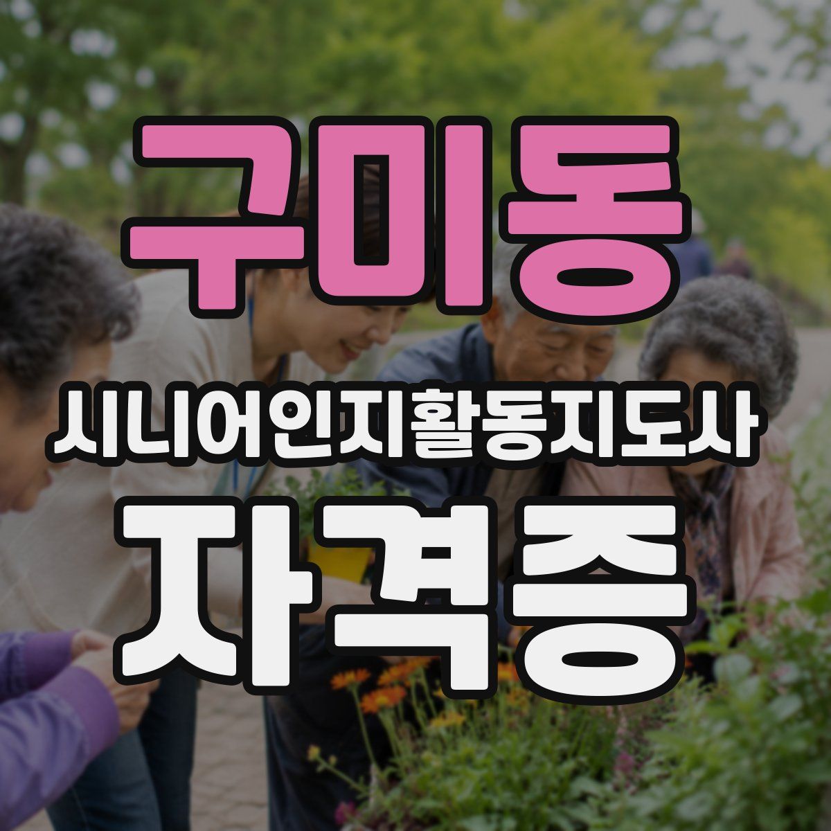 구미동 시니어인지활동지도사 자격증