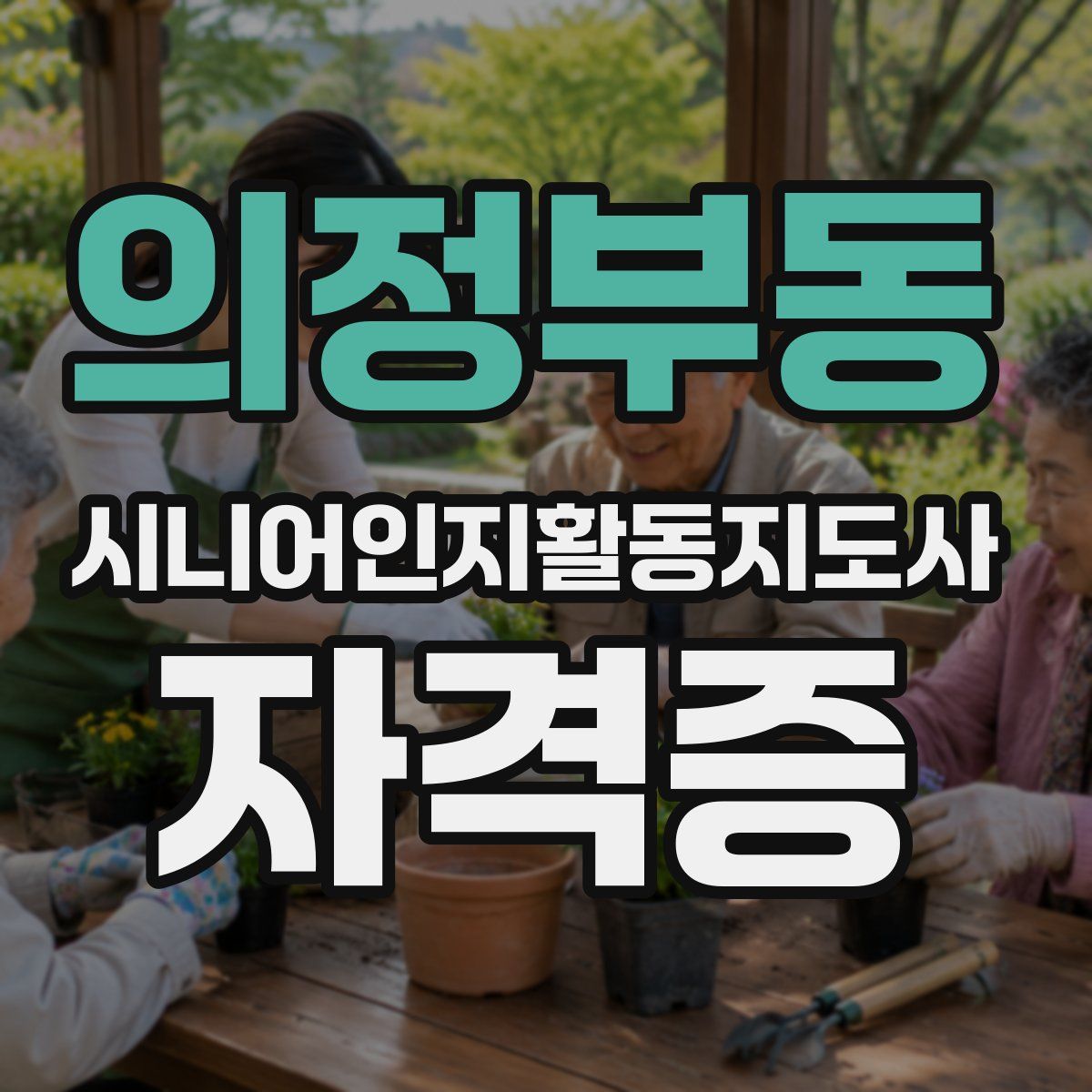 의정부동 시니어인지활동지도사 자격증
