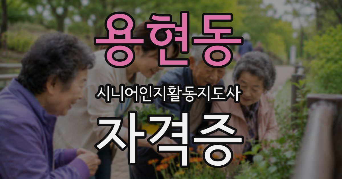 용현동 시니어인지활동지도사 자격증