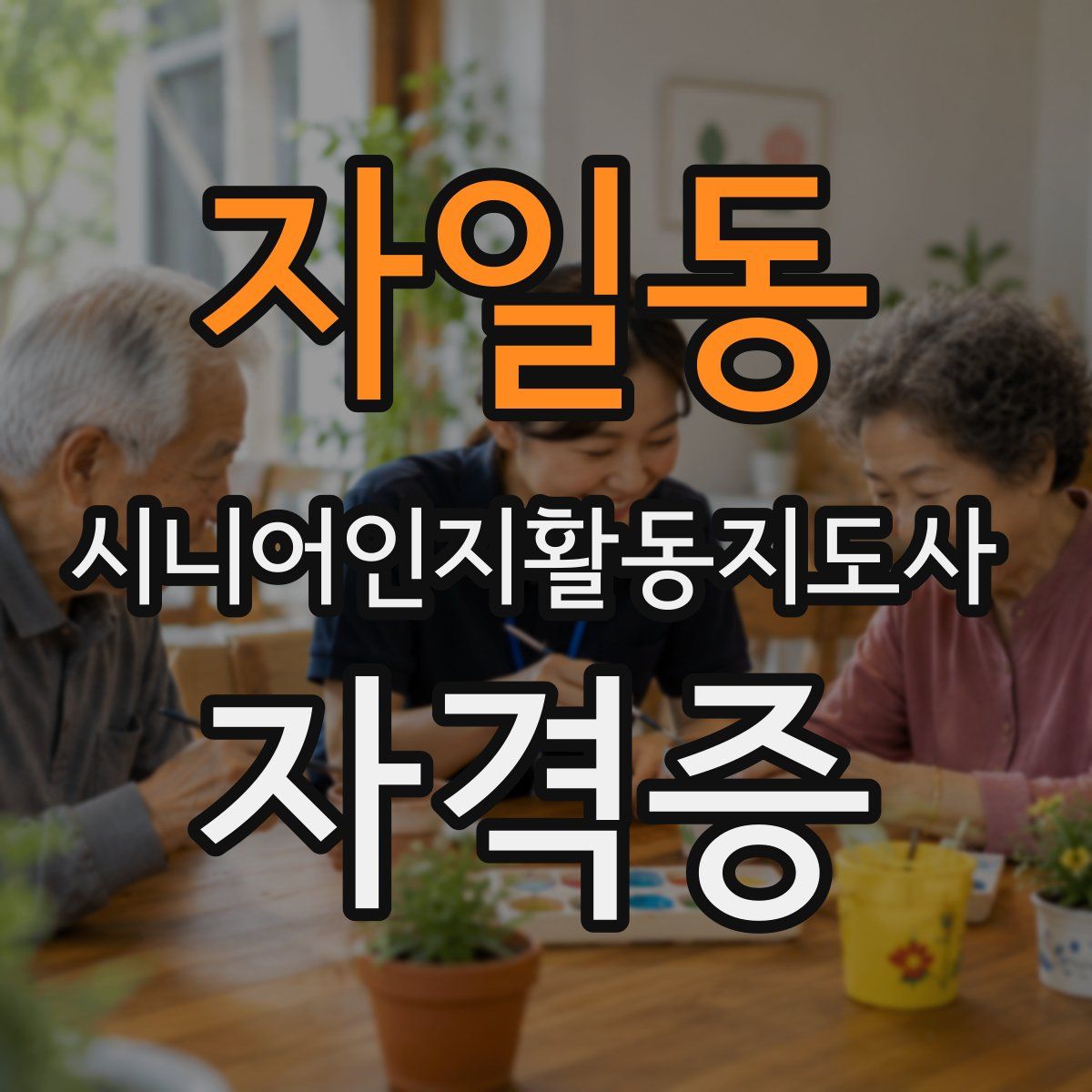 자일동 시니어인지활동지도사 자격증
