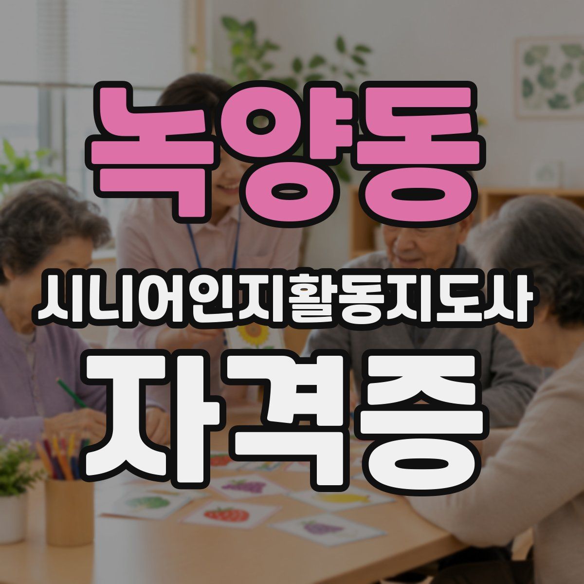 녹양동 시니어인지활동지도사 자격증