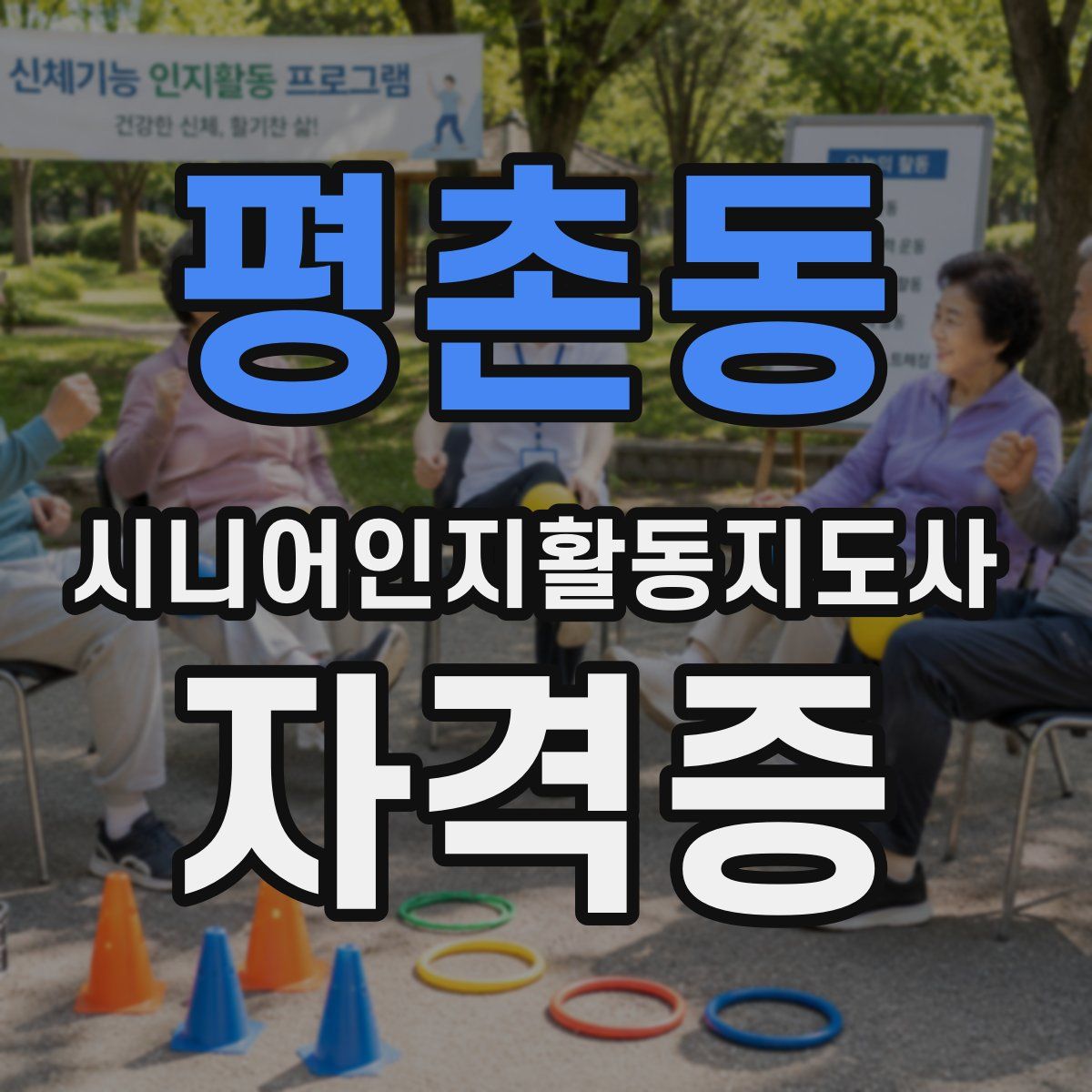 평촌동 시니어인지활동지도사 자격증