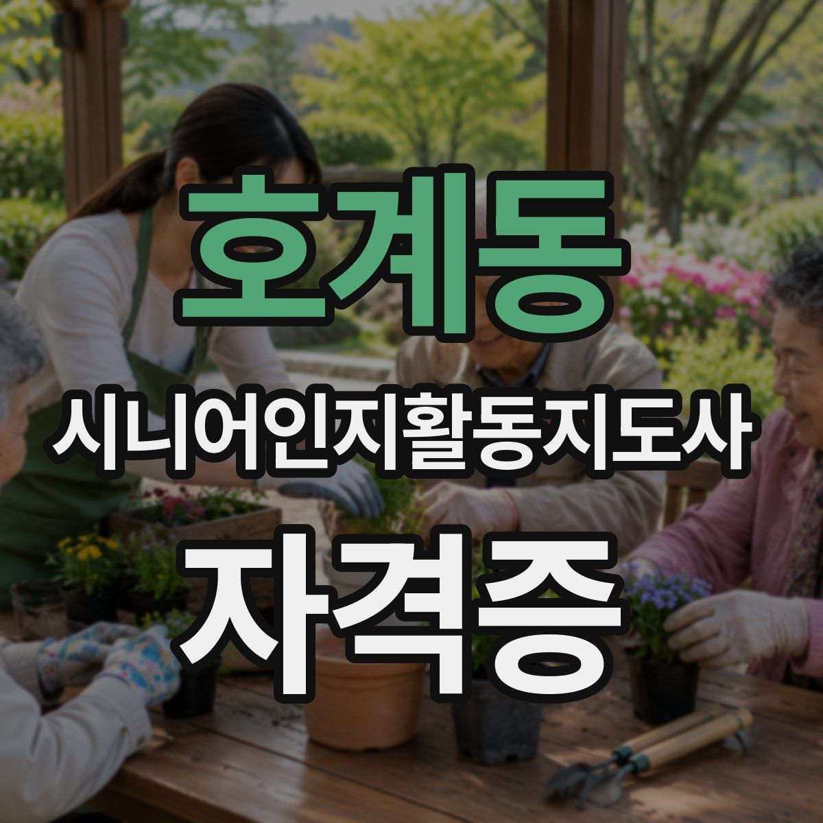 호계동 시니어인지활동지도사 자격증