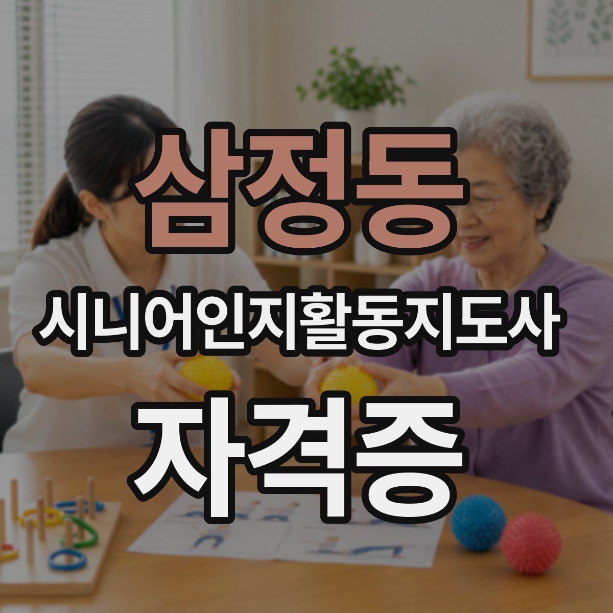 삼정동 시니어인지활동지도사 자격증