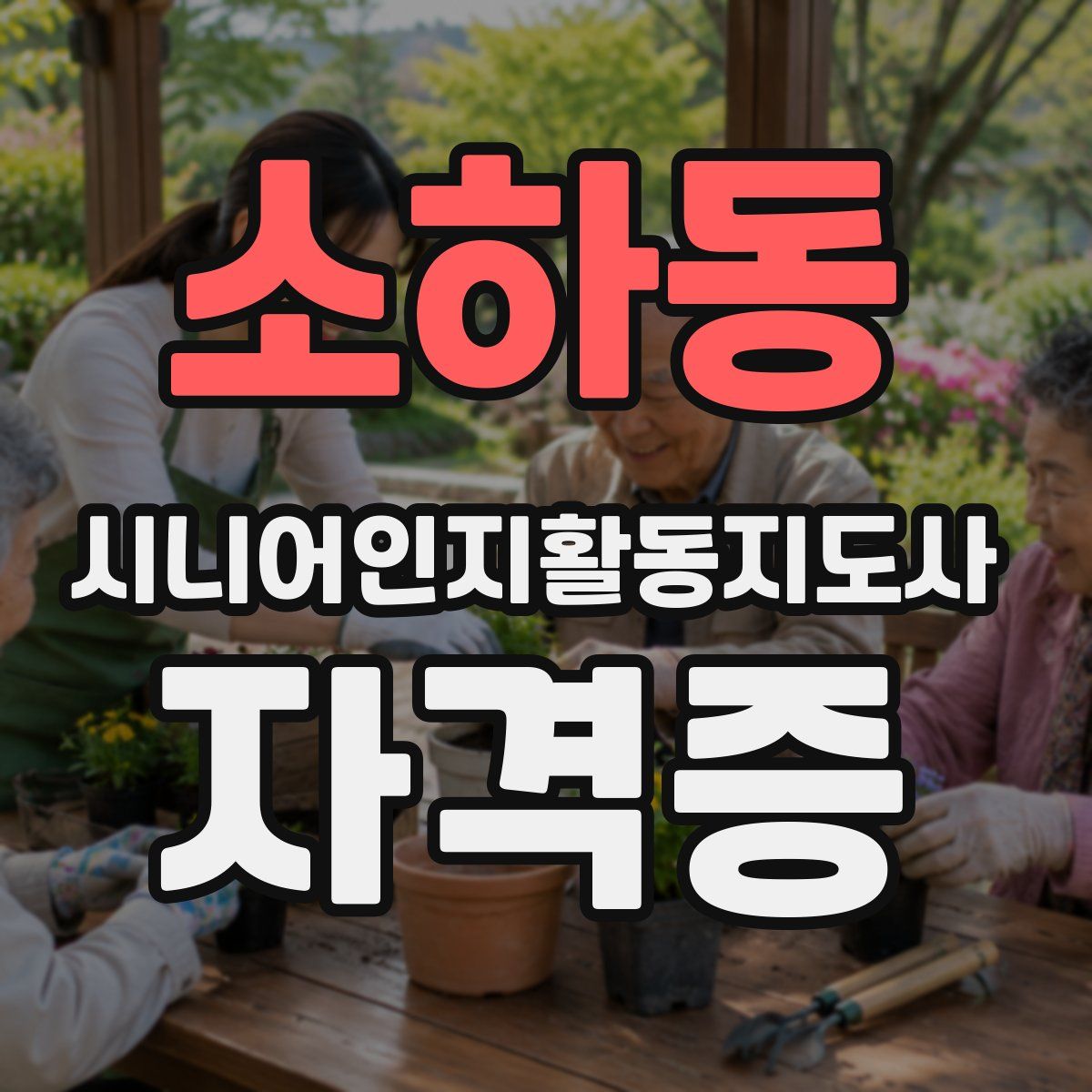 소하동 시니어인지활동지도사 자격증