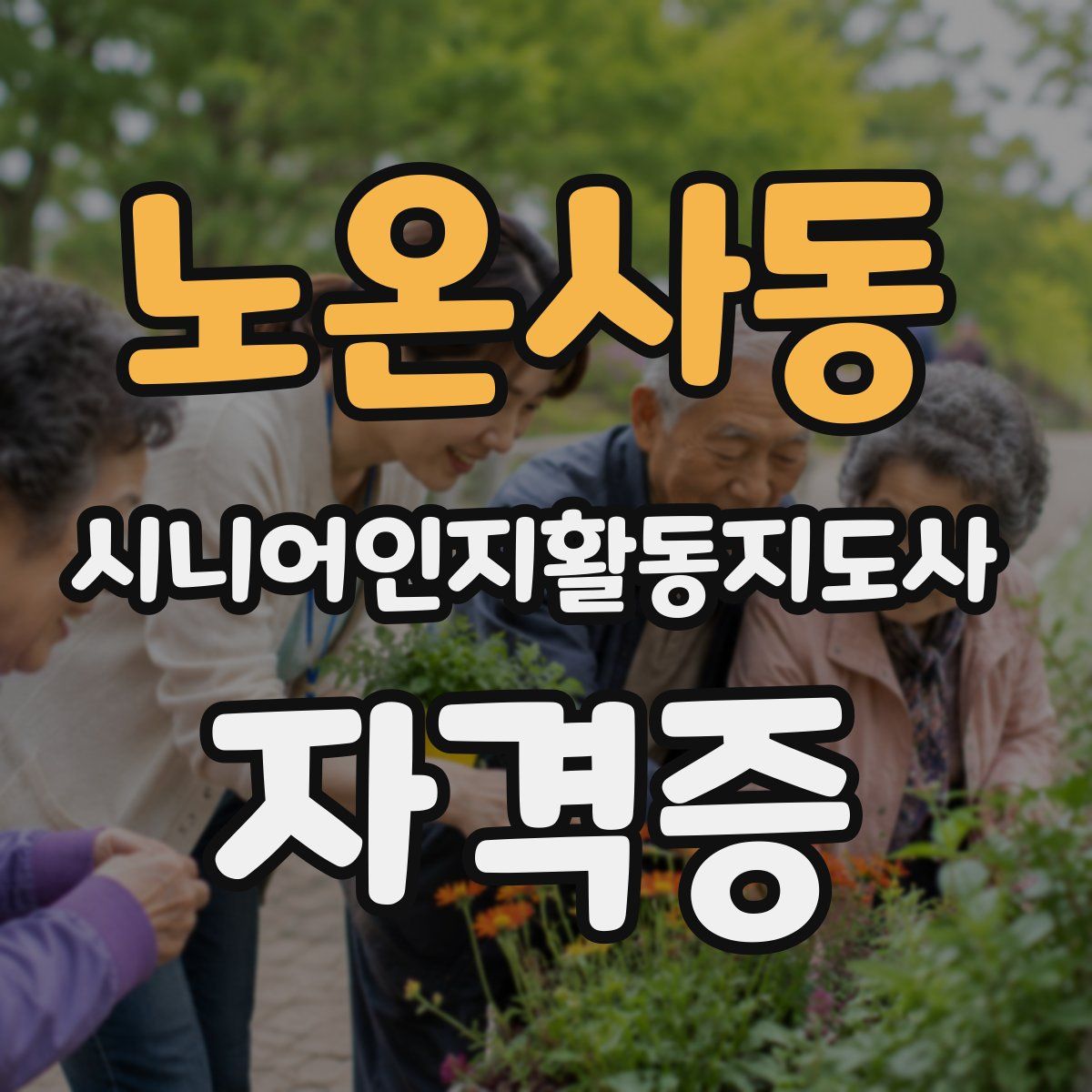 노온사동 시니어인지활동지도사 자격증
