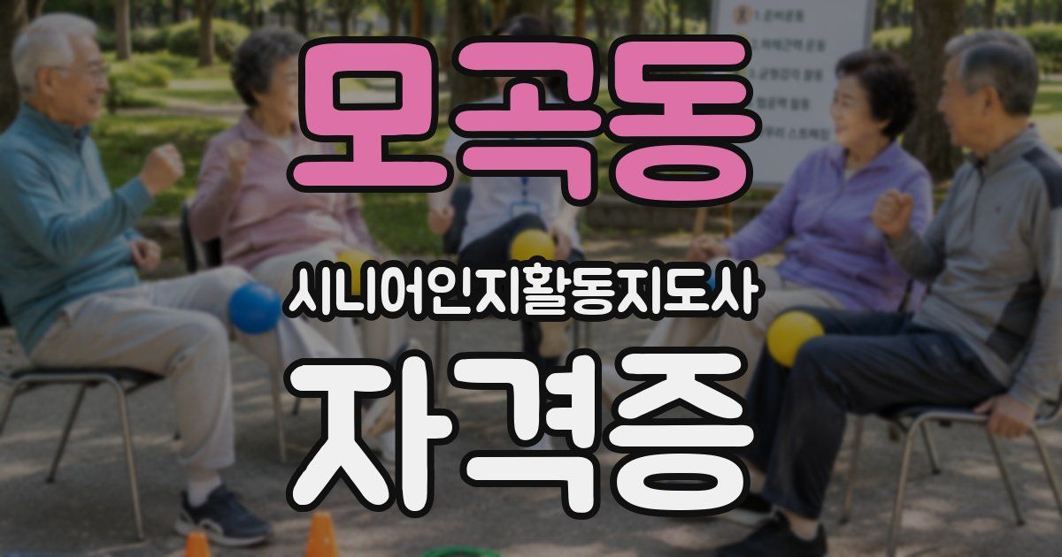 모곡동 시니어인지활동지도사 자격증
