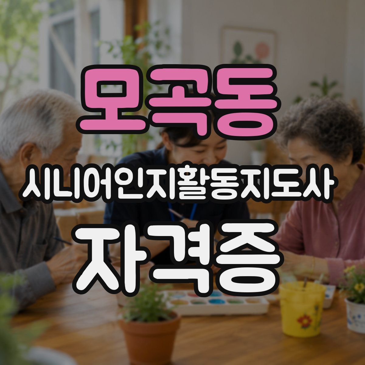 모곡동 시니어인지활동지도사 자격증