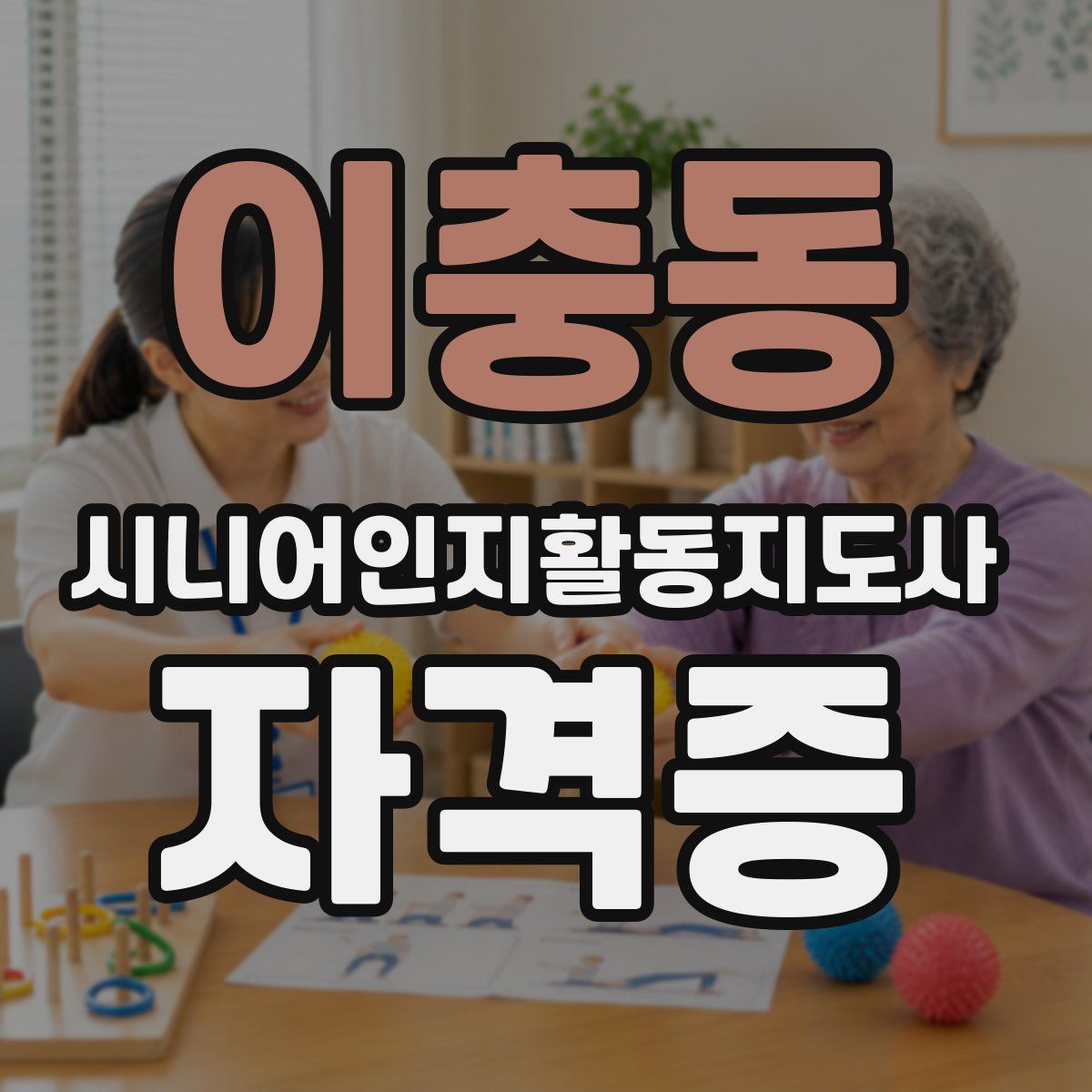 이충동 시니어인지활동지도사 자격증