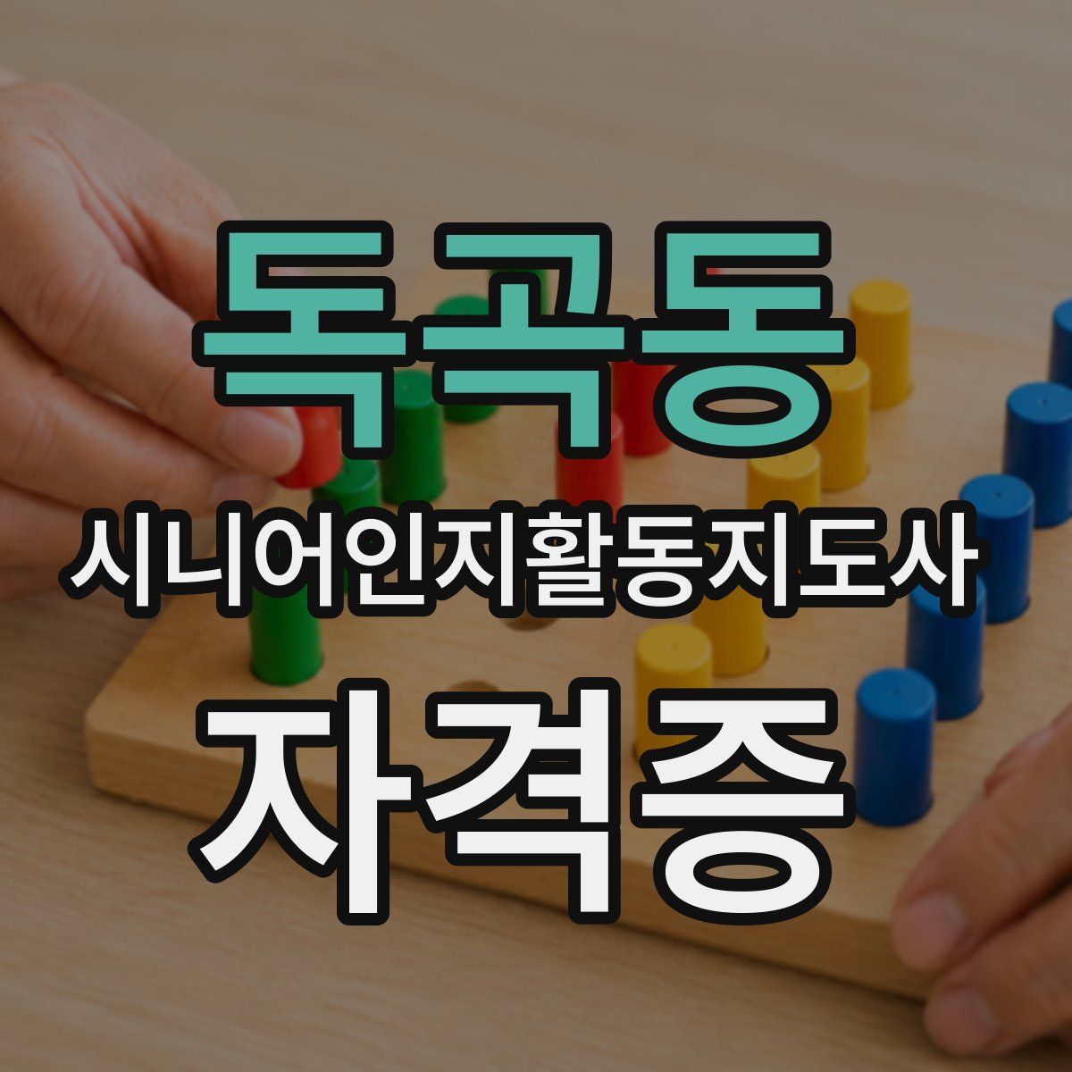 독곡동 시니어인지활동지도사 자격증