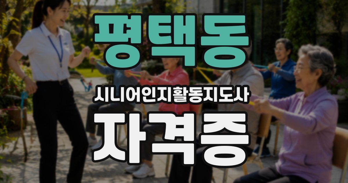 평택동 시니어인지활동지도사 자격증