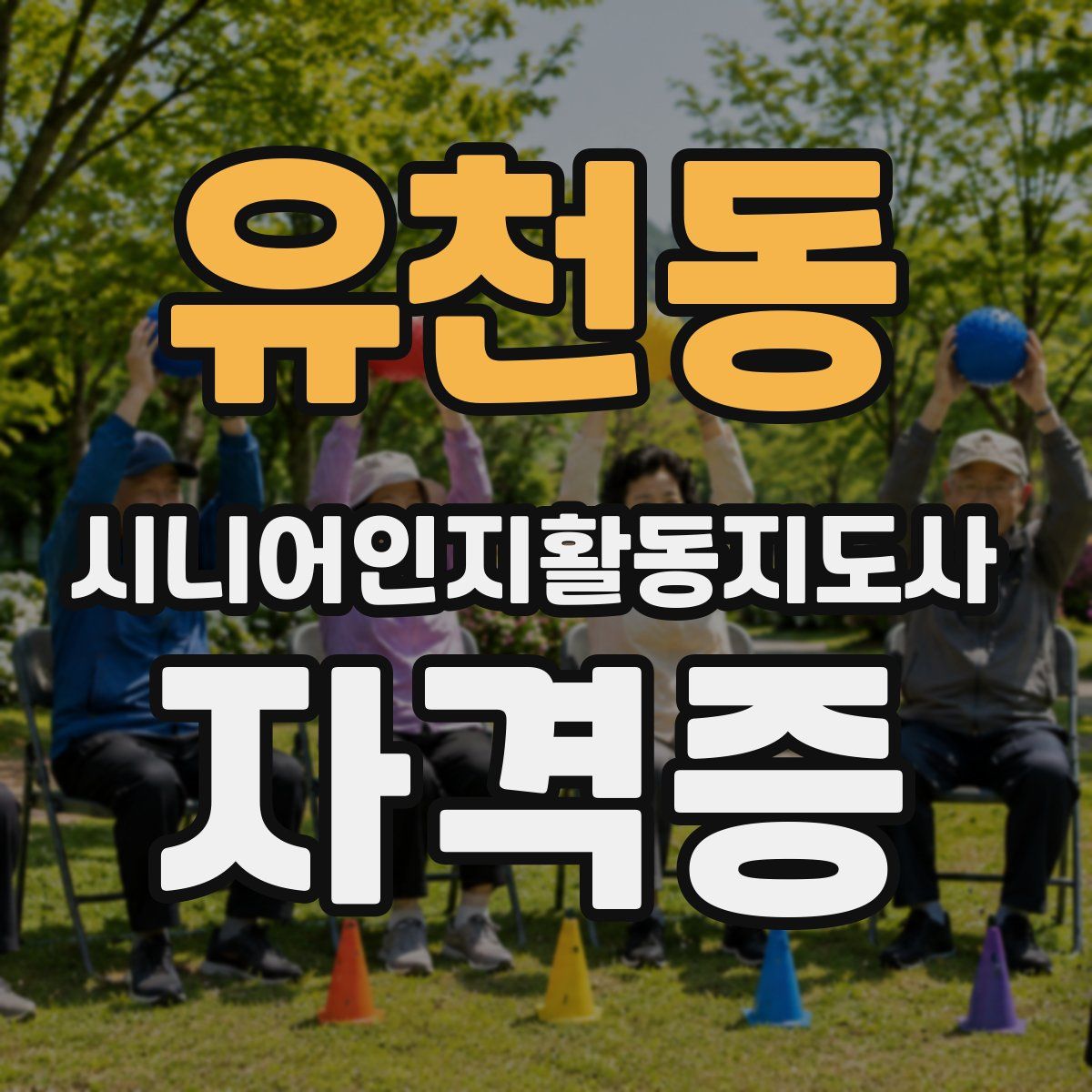 유천동 시니어인지활동지도사 자격증