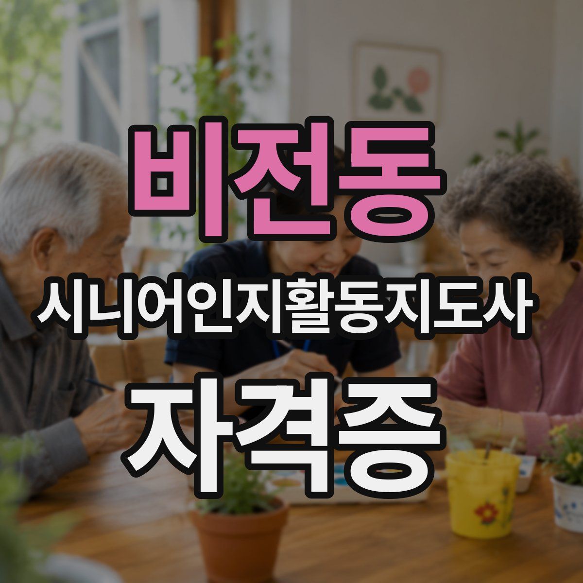 비전동 시니어인지활동지도사 자격증