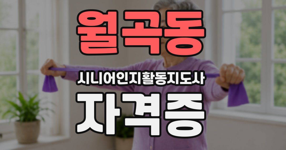 월곡동 시니어인지활동지도사 자격증