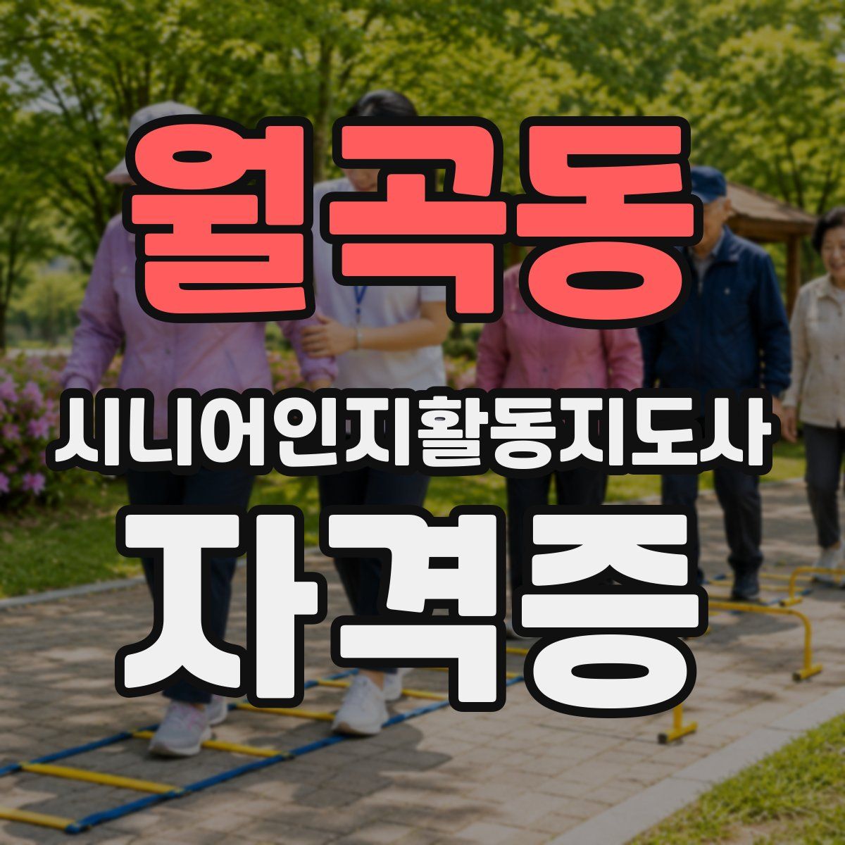 월곡동 시니어인지활동지도사 자격증