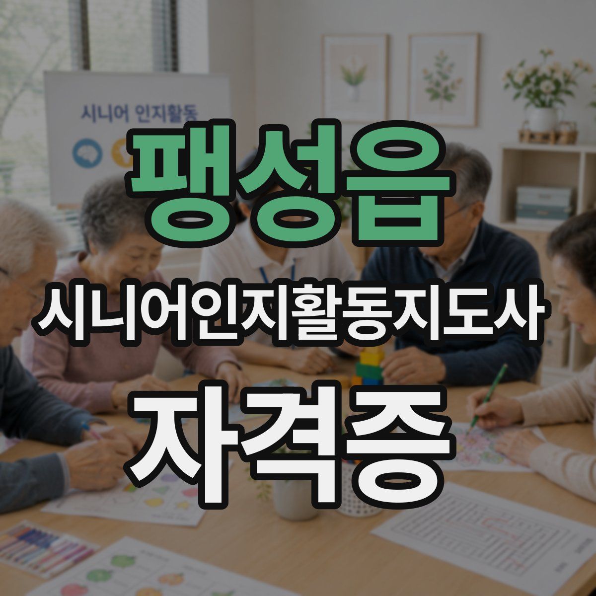 팽성읍 시니어인지활동지도사 자격증