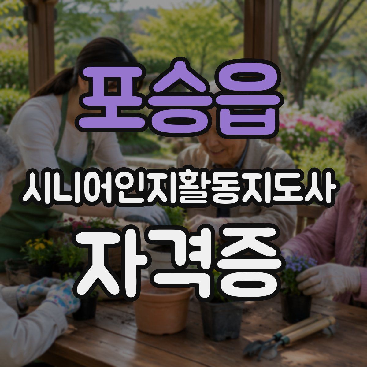 포승읍 시니어인지활동지도사 자격증