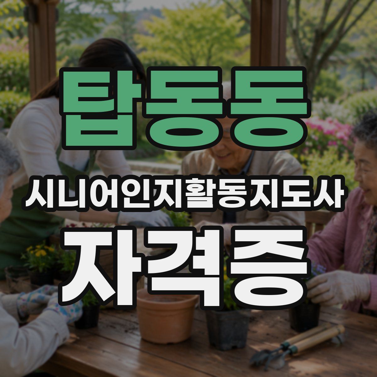 탑동동 시니어인지활동지도사 자격증