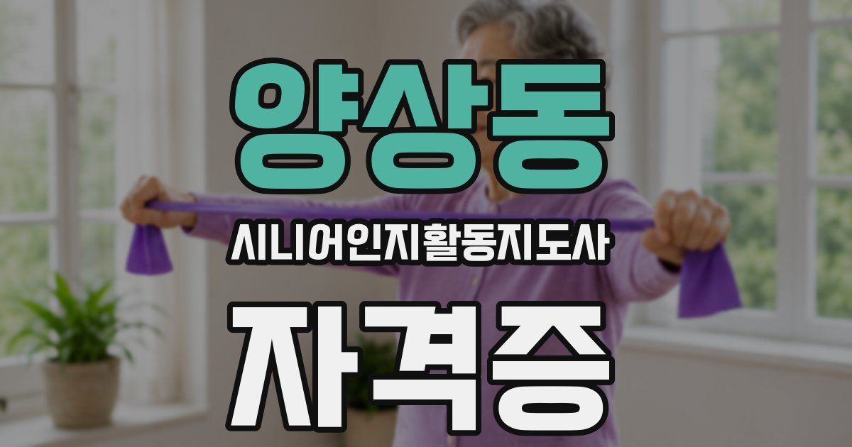 양상동 시니어인지활동지도사 자격증