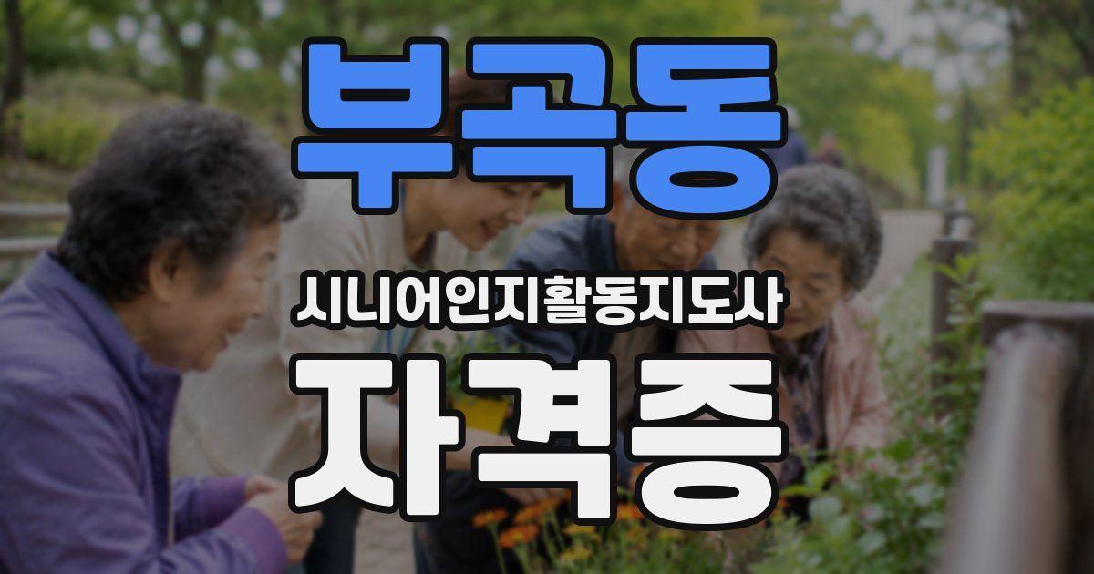 부곡동 시니어인지활동지도사 자격증